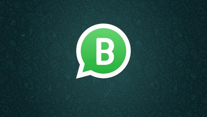 WhatsApp Business. Foto: Ist