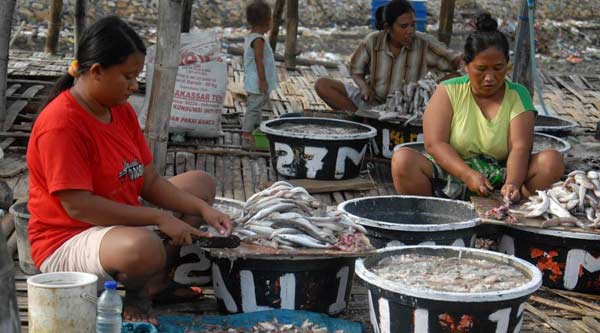 <i>Mbelek</i> Ikan Sebagai Pencaharian Sehari-hari