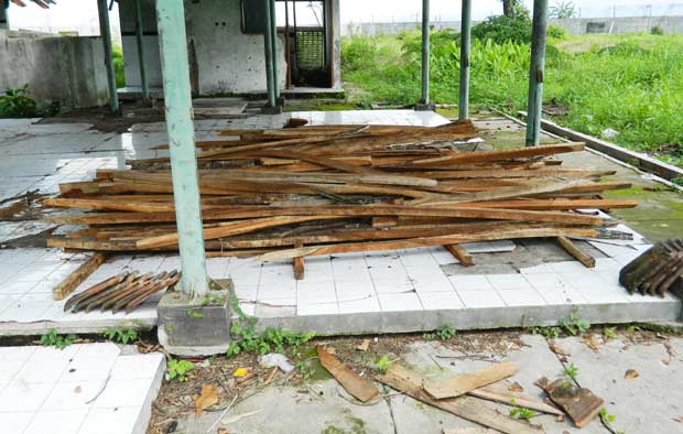 Potongan kayu dari pohon besar yang ditebangi warga di kawasan rest area. foto: ZAINAL ABIDIN/ BANGSAONLINE