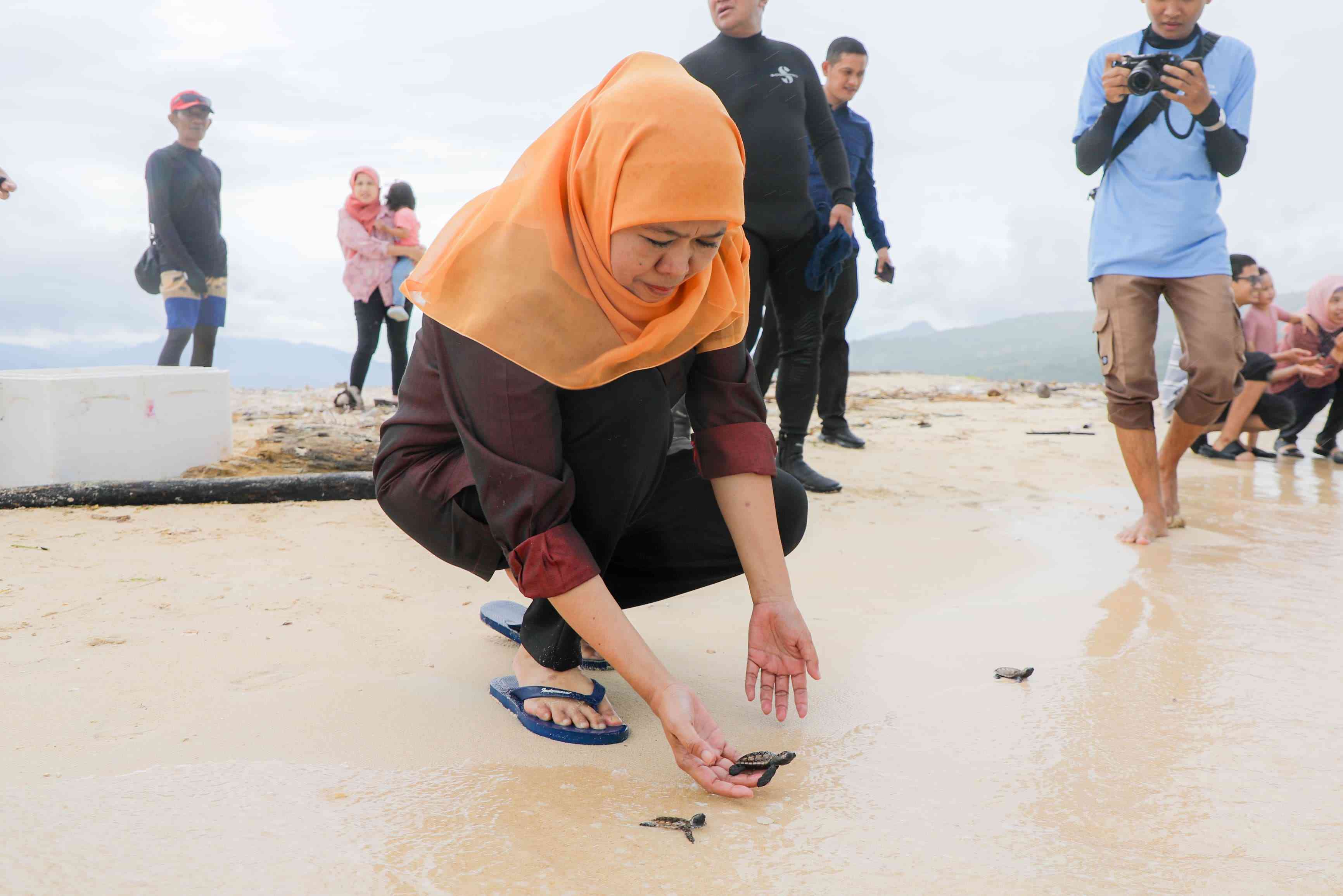 Khofifah Lepas Puluhan Anak Penyu di Pulau Tabuhan Banyuwangi