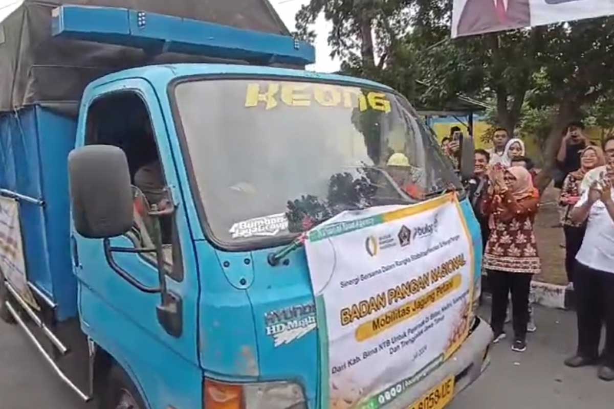 Truk pembawa jagung dari Bima, Nusa Tenggara Barat (NTB) untuk kesejahteraan peternak ayam petelur, yang diterima oleh Pemkab Blitar, Kamis (4/7/2024).